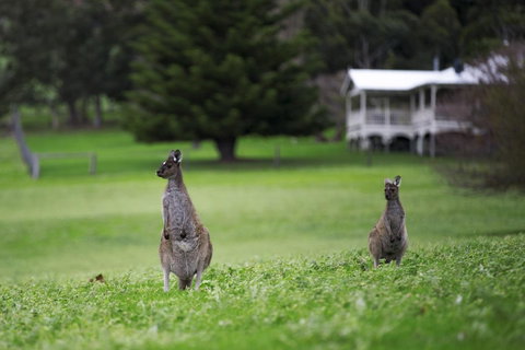 Sienna Lodge - South Australia Travel 14