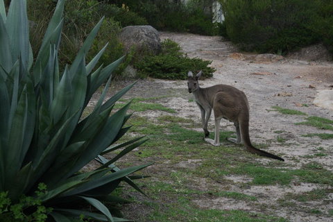 Aqua Views - South Australia Travel 15