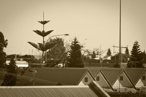 Annie's Victorian Terrace Accommodation Fremantle - South Australia Travel 2