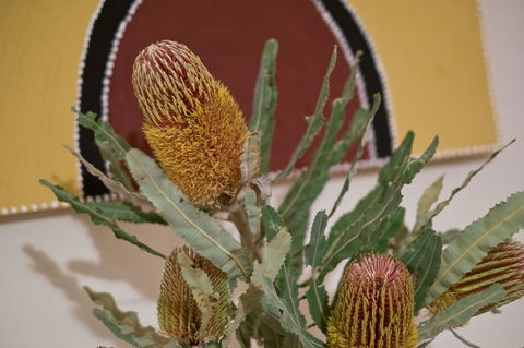 Annie's Victorian Terrace Accommodation Fremantle - South Australia Travel 6