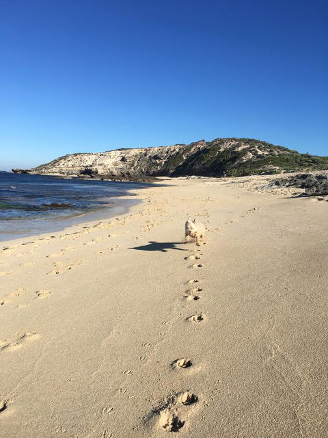 Aquatic Visions - South Australia Travel 36