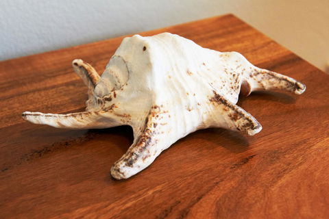 Aquatic Visions - South Australia Travel 40