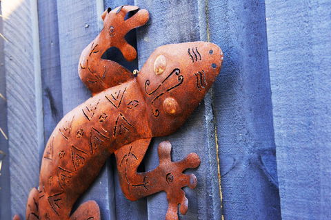 Aquatic Visions - South Australia Travel 38