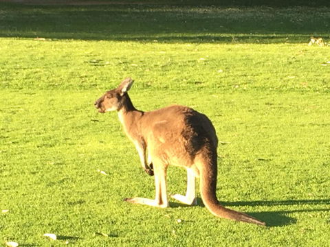 Aquatic Visions - South Australia Travel 41