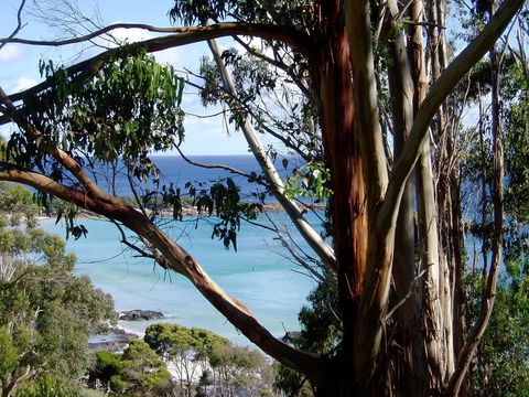 Seascape Beach House - South Australia Travel 8