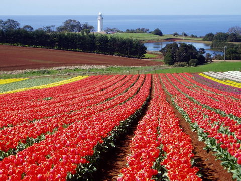Seascape Beach House - South Australia Travel 26