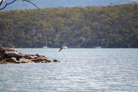 A Slice Of Paradise - South Australia Travel 18