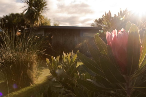 Eagle Peaks At Freycinet - South Australia Travel 8