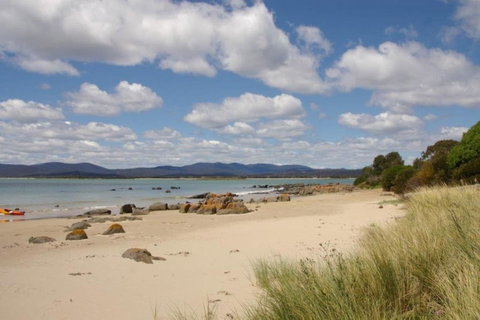 Willowmere - South Australia Travel 21