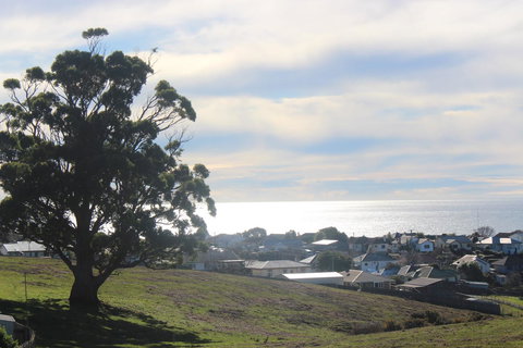 Hilltop Ocean Views å±±é¡¶æµ·æ™¯ - South Australia Travel 22