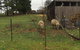 White Croft Cottage - thumb 7
