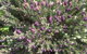 White Croft Cottage - thumb 5