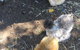 White Croft Cottage - thumb 11