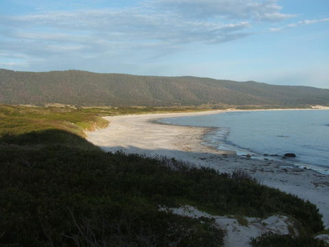 Seymour Waves - South Australia Travel 20