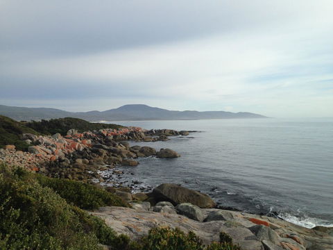 Seymour Waves - South Australia Travel 12