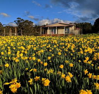 Mountain Blue Guest House - South Australia Travel
