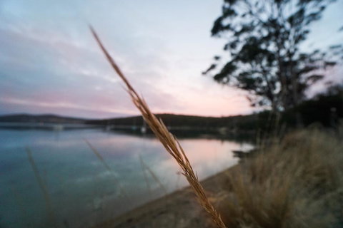 Free Spirit Pods - South Australia Travel 8