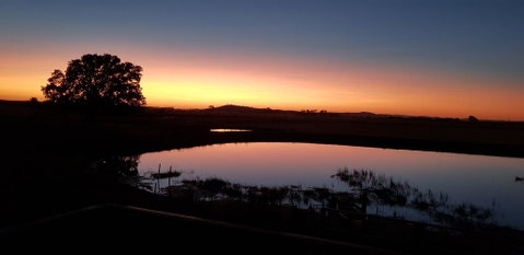New Horizons Farm Stay - South Australia Travel 1