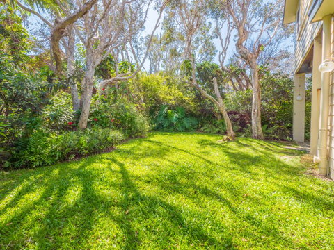 Ngungun Street 10, Dicky Beach - South Australia Travel 1