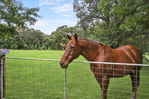 NUNGAROO COTTAGE - South Australia Travel 3