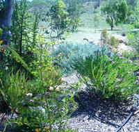 Old Miners' Cottages Bed and Breakfast - South Australia Travel