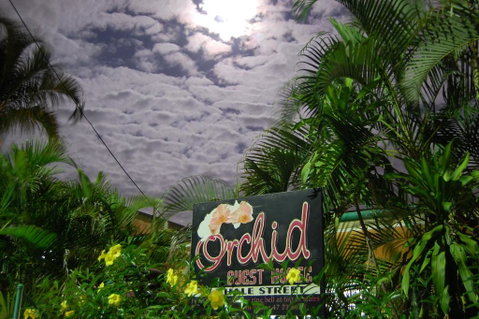 Orchid Guest House - South Australia Travel 1