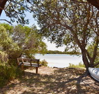 Oystercatcher - On the banks of the lagoon - South Australia Travel