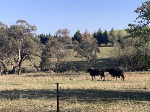 OConnell Retreat BnB - South Australia Travel 1
