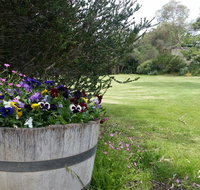 Padthaway Caravan Park - South Australia Travel