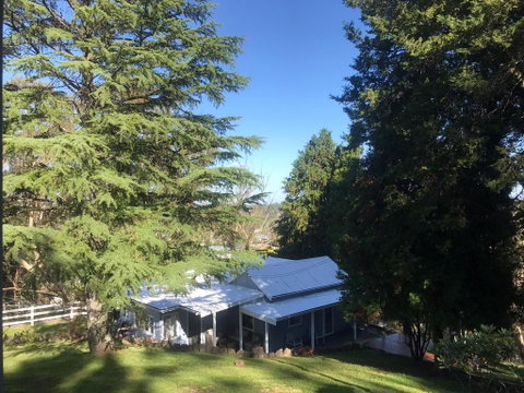Pine Hill Cottage Acreage In Nature Trees Views Mid Katoomba Leura - South Australia Travel 0
