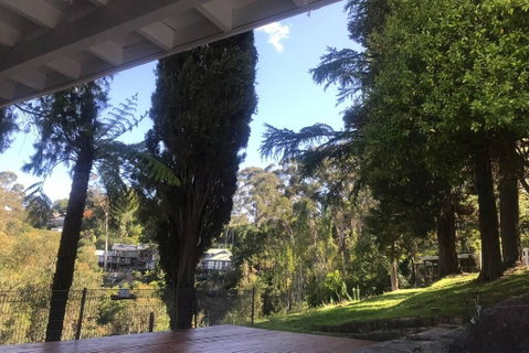 Pine Hill Cottage Acreage In Nature Trees Views Mid Katoomba Leura - South Australia Travel 3