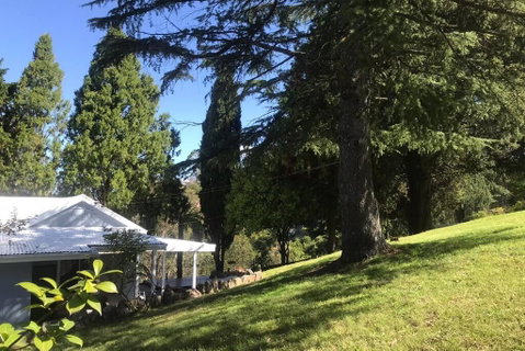 Pine Hill Cottage Acreage In Nature Trees Views Mid Katoomba Leura - South Australia Travel 1