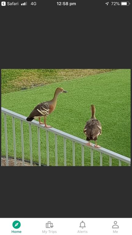 Resort Living - South Australia Travel 3