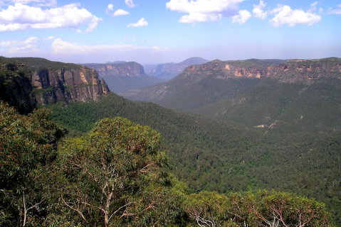 Ribbon Gum Lodge - South Australia Travel 1
