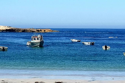 Rocks Retreat Cabin 3 - Lobster - South Australia Travel 2