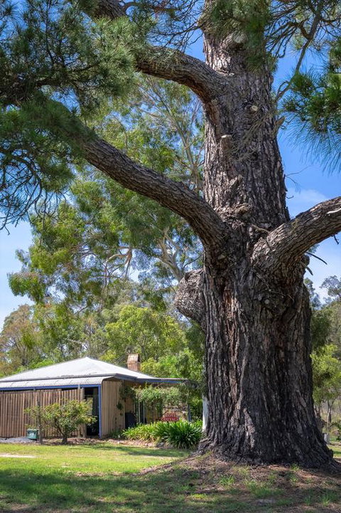 Rose Cottage - South Australia Travel 3