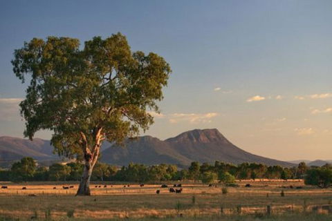 Rubicon Hotel Motel - South Australia Travel 0