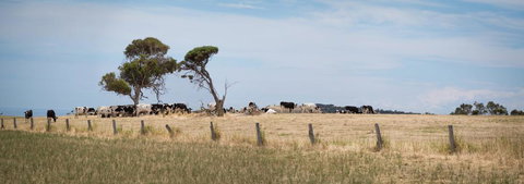 SALT - 37 Oceanview Drive - South Australia Travel 2