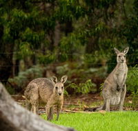 Secura Lifestyle Countryside Kalaru - South Australia Travel