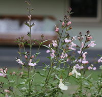 Serendipity on Allyn - South Australia Travel