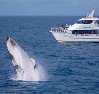 Shelly Beach Motel - South Australia Travel