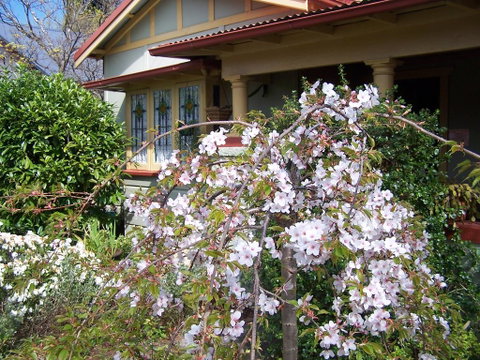 Shelton-Lea Bed & Breakfast - South Australia Travel 0