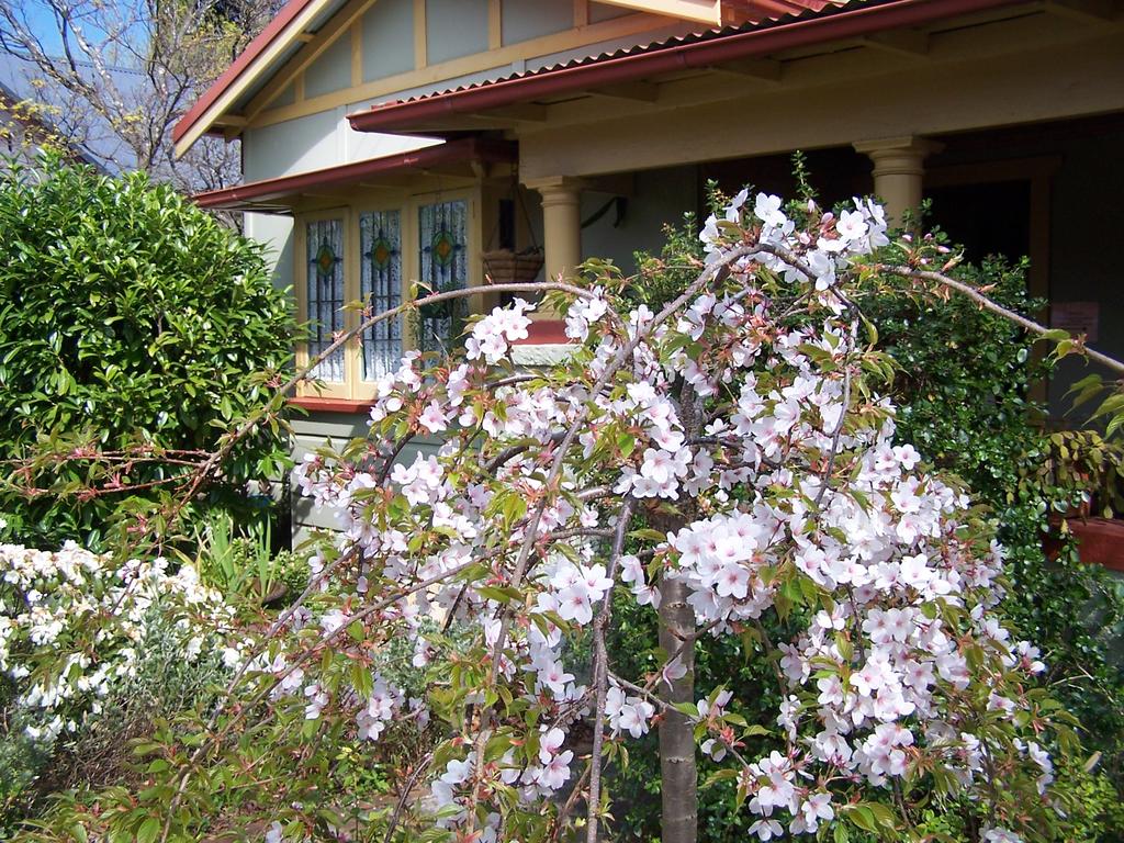 Katoomba NSW South Australia Travel
