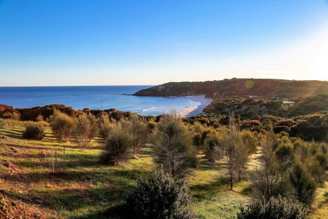Sheoaks - South Australia Travel 1
