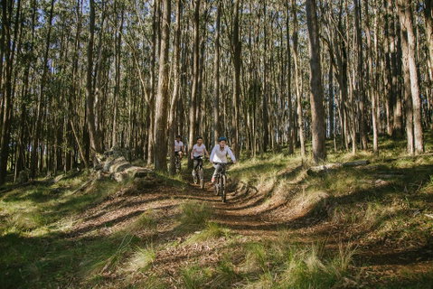 Spicers Peak Lodge - South Australia Travel 3