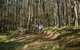 Spicers Peak Lodge - thumb 3