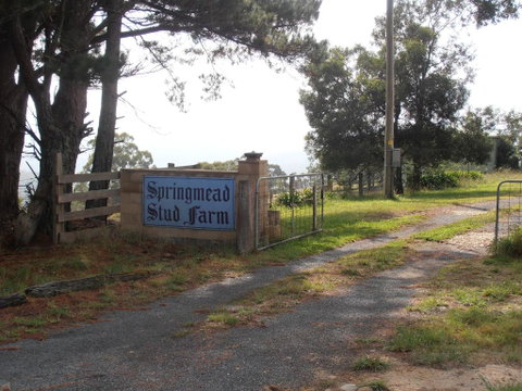 Springmead B&B - South Australia Travel 2