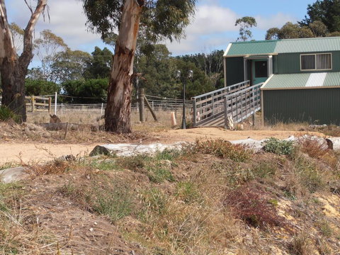 Springmead Rustic Cabin - South Australia Travel 1