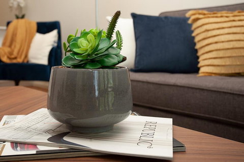 STAY&CO North Sydney Crows Nest - South Australia Travel 1