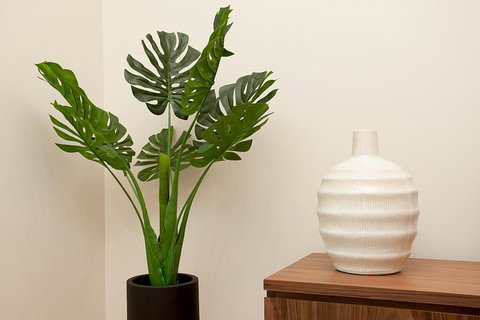 STAY&CO North Sydney Crows Nest - South Australia Travel 2